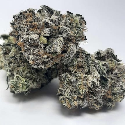 Cheetah Breath Strain Indica or Sativa for Sale